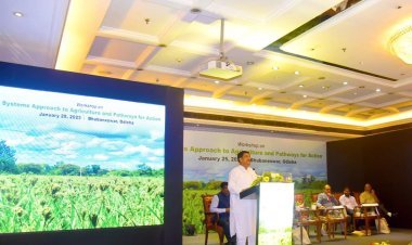 Workshop on Systems Approach to Agriculture and Pathways for Action