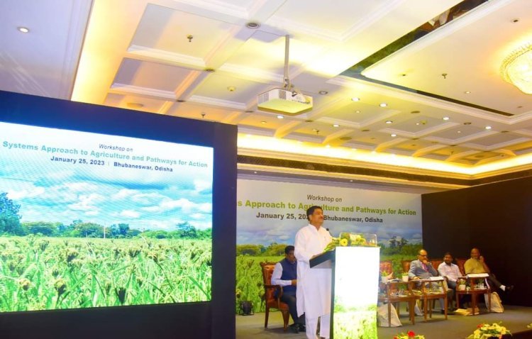 Workshop on Systems Approach to Agriculture and Pathways for Action