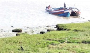 ଚୋରା କୋଇଲାର ଚାଲାଣପଥ ଏବେ ଭିତରକନିକା