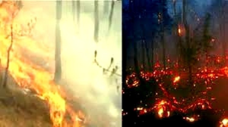 ଗ୍ରୀଷ୍ମରୁତୁ ନଆସୁଣୁ ଜଳୁଛି ଜଙ୍ଗଲ:  ଉଦଳା ଓ କୁଲଡିହା ଜଙ୍ଗଲରେ ଭୟାବହ ଅଗ୍ନିକାଣ୍ଡ