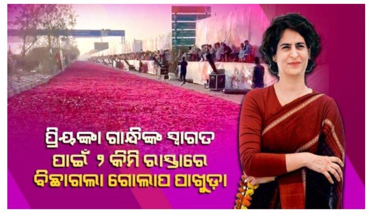 ବଢ଼ୁଛି କଂଗ୍ରେସ ର କ୍ରେଜ଼, ୨ କିମି ରାସ୍ତାରେ ବିଛାଗଲା ଗୋଲାପ ଫୁଲ ର ପାଖୁଡ଼ା, ଅବସର ଥିଲା ପ୍ରିୟଙ୍କା ଗାନ୍ଧିଙ୍କୁ ସ୍ବାଗତ