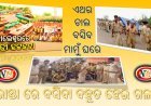 ଆକ୍ସନ ମୁଡ୍ ରେ ପୋଲିସ , ବାଲେଶ୍ବର ରୁ ଆରମ୍ଭ ହେଲା ଗିରଫଦାରୀ , ୧୦୦ ଡ୍ରାଇଭର ଙ୍କୁ ଉଠାଇ ନେଲା ପୋଲିସ
