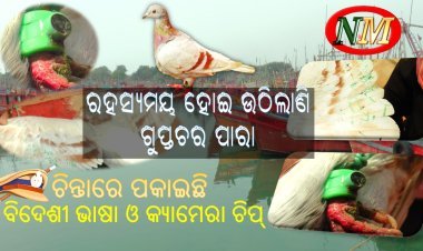 ରହସ୍ୟମୟ ହୋଇ ଉଠୁଛି ସନ୍ଦେହୀ ଗୁପ୍ତଚର ପାରା, ରକ୍ତ ନମୁନା ସହ କ୍ୟାମେରା ଚିପ୍ ପାଇଁ କେନ୍ଦ୍ରୀୟ ବିଶେଷଜ୍ଞ ଟିମ୍ ର ସହାୟତା ନିଆଯିବ