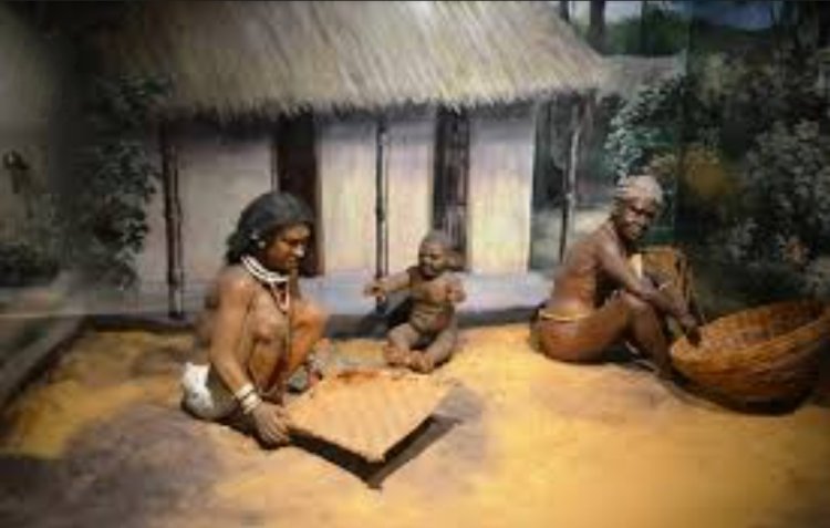 ରାଜ୍ୟ ର ଯେ କୌଣସି ସଂଗ୍ରହାଳୟର ପ୍ରବେଶ ଦେୟ (ଟିକେଟ) ୧୦ ଟଙ୍କା, ମୁଖ୍ୟମନ୍ତ୍ରୀ ଙ୍କ ନିର୍ଦ୍ଦେଶ