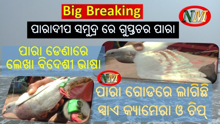 ପାରାଦୀପ ସମୁଦ୍ର ରେ ଗୁପ୍ତଚର ପାରା, ଜାତୀୟ ସୁରକ୍ଷା ନେଇ ବଢିଲା ଚିନ୍ତା