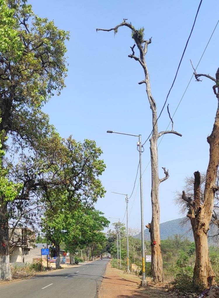 ଆଖି ପିଛୁଳାକେ ଜୀବନ ଯିବ