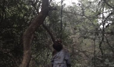 ଜଗତସିଂହପୁରର ନିଖୋଜ ଯବାନଙ୍କ ଝୁଲନ୍ତା ମୃତଦେହ ଉଦ୍ଧାର