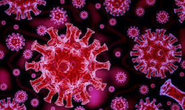 ରାଜ୍ୟରେ ୪୩୧ ନୂଆ କରୋନା ସଂକ୍ରମିତ ଚିହ୍ନଟ