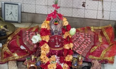 ମା’ ତାରିଣୀଙ୍କର ୧୯ତମ ଜନ୍ମ ବାର୍ଷିକୋତ୍ସବ ପାଳିତ 