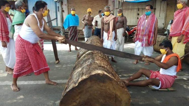 ଆଜିଠୁ ଆରମ୍ଭ ହେଲା ରଥ ନିର୍ମାଣ କାର୍ଯ୍ୟ