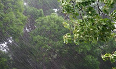 ୪ରେ କେରଳ ଛୁଇଁବ ମୌସୁମି