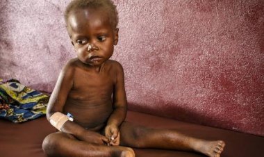 ଦଶପଲ୍ଲାରେ ବଢ଼ୁଛି ଅପପୁଷ୍ଟି