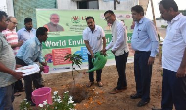 World Environment Day observed by PPA