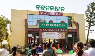 ନନ୍ଦନକାନନ ପ୍ରାଣୀ ଉଦ୍ୟାନକୁ ଆସିଲେ ୫ ନୂଆ ଅତିଥି