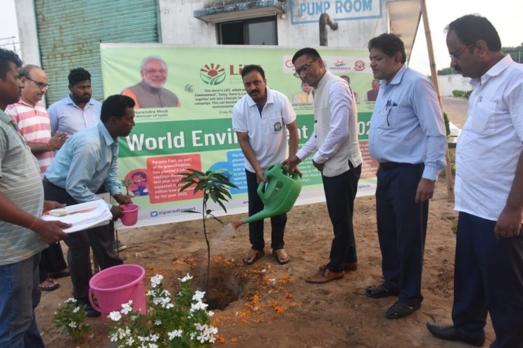 World Environment Day observed by PPA
