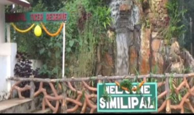 ଶିକାରୀ ମୁକ୍ତ ହେବ ଶିମିଳିପାଳ