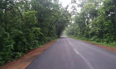 ନିଶାରେ ମାତାଲ ହୋଇ ରାସ୍ତାରେ ଶୋଇଲେ  ଶିକ୍ଷକ