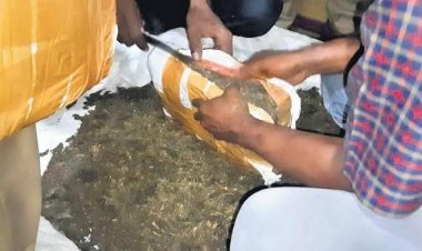 ଗାଡିରୁ ୩୦କେଜି ଗଞ୍ଜେଇ ଜବତ ସହ ୩ଜଣଙ୍କୁ ଗିରଫ କଲା ଅବକାରୀ ବିଭାଗ