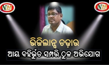 ଭିଜିଲାନ୍ସ ଚଢ଼ାଉ