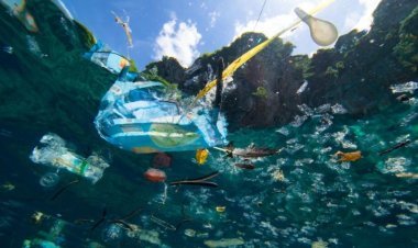 ପ୍ଲାଷ୍ଟିକରେ ଭରି ପଡ଼ିଛି ସମୁଦ୍ର