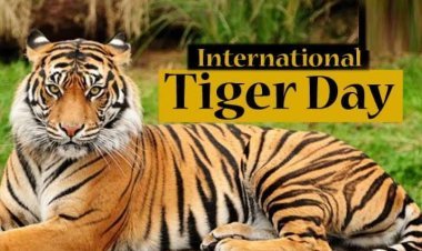 ଆନ୍ତର୍ଜାତିକ ବାଘ ଦିବସରେ ମୁଖ୍ୟମନ୍ତ୍ରୀଙ୍କ ବାର୍ତ୍ତା