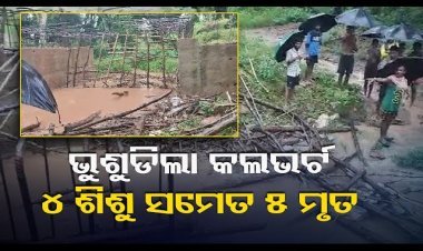 କଲଭର୍ଟ ଭୁଶୁଡ଼ି ୫ ମୃତ