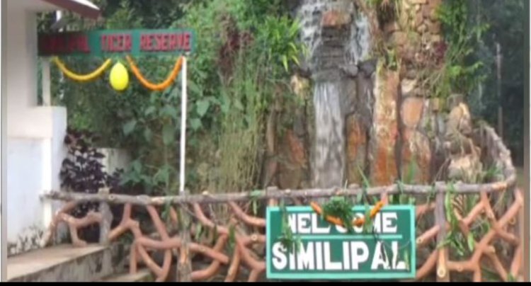ଶିକାରୀ ମୁକ୍ତ ହେବ ଶିମିଳିପାଳ
