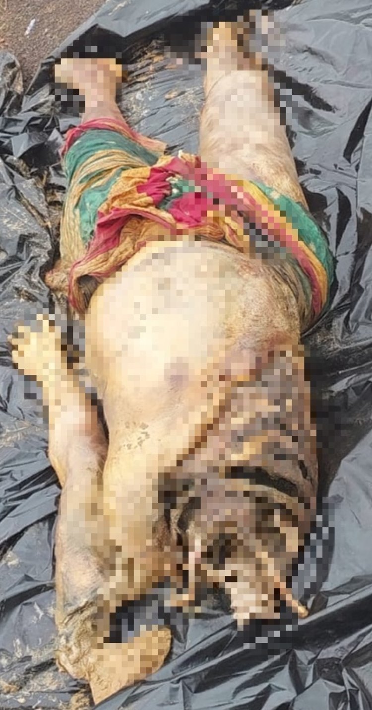 ମୁଣ୍ଡ ବିହୀନ ମହିଳା ଙ୍କ ଗଳିତ ଶବ ଉଦ୍ଧାର