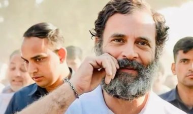 ସାଂସଦ କୁ ଫେରିବେ ରାହୁଲ ଗାନ୍ଧୀ