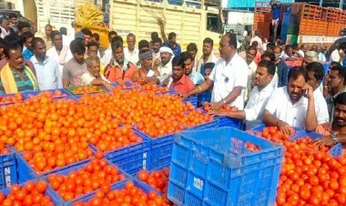 ଦେଶରେ ଖସିଲା ଟମାଟୋ ଦର, ଜାଣନ୍ତୁ କେଜି ପିଛା ମୂଲ୍ୟ କେତେ