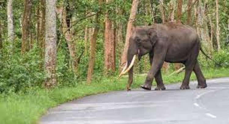 ମହିଳାଙ୍କୁ ଦଳିଦେଲା ଦନ୍ତା