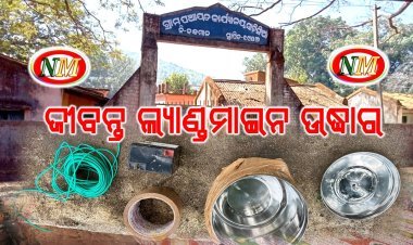 ଜୀବନ୍ତ ଲ୍ୟାଣ୍ଡମାଇନ ଉଦ୍ଧାର