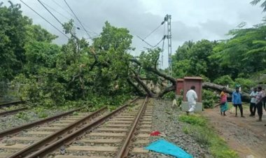 ଟ୍ରାକରେ ପଡିଲା ଗଛ, ଅଟକିଲା ଟ୍ରେନ୍