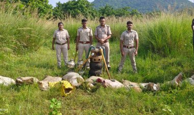 ୮୫୦ କେଜି ମହୁଲ ପୋଚ ସହ ୬୦ ଲିଟର ଦେଶୀ ରନ୍ଧା ମଦ ଜବତ