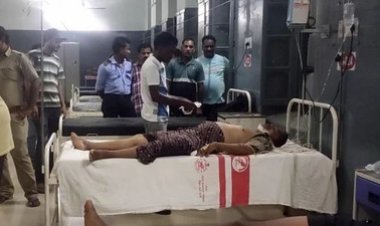 ଫରେଷ୍ଟର ଓ ବନ କର୍ମଚାରୀଙ୍କୁ ଟେକି କଚାଡିଲା ମାଇ ହାତୀ