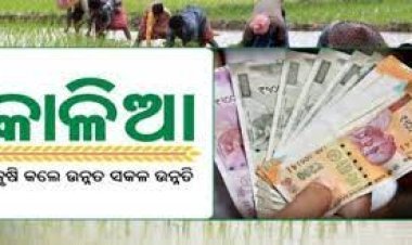 ନୂଆଁଖାଇରେ ଚାଷୀଙ୍କୁ ମିଳିବ କାଳିଆ ଟଙ୍କା