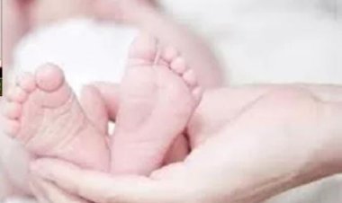 ରାସ୍ତା କଡ଼ରେ ନବଜାତ ଜନ୍ମିତ ଶିଶୁ ର ମୃତଦେହ ଉଦ୍ଧାର