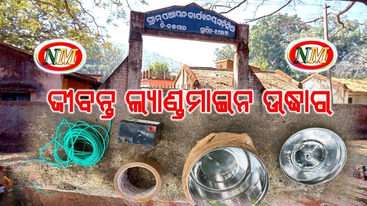 ଜୀବନ୍ତ ଲ୍ୟାଣ୍ଡମାଇନ ଉଦ୍ଧାର