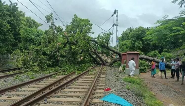 ଟ୍ରାକରେ ପଡିଲା ଗଛ, ଅଟକିଲା ଟ୍ରେନ୍