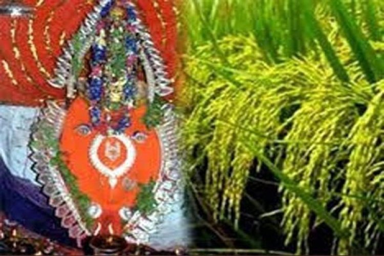 ପଶ୍ଚିମ ଓଡ଼ିଶାର ମହାନ ଗଣପର୍ବ ନୂଆଁଖାଇ ପାଇଁ ଆଜି ଲଗ୍ନ ନିରୁପଣ କରାଯାଇଛି