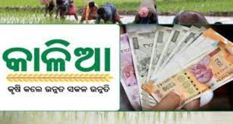 ନୂଆଁଖାଇରେ ଚାଷୀଙ୍କୁ ମିଳିବ କାଳିଆ ଟଙ୍କା