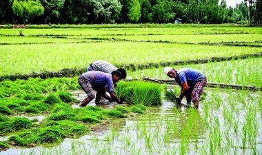 ଚାଷୀଙ୍କ ସବୁ ଋଣ ଛାଡ଼ କରାଯିବ ବୋଲି କଥା ଦେଲେ ମୁଖ୍ୟମନ୍ତ୍ରୀ
