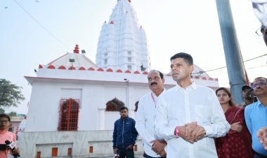 ପାଣ୍ଡିଆନଙ୍କ ସମଲେଇ ପ୍ରକଳ୍ପ ସମୀକ୍ଷା