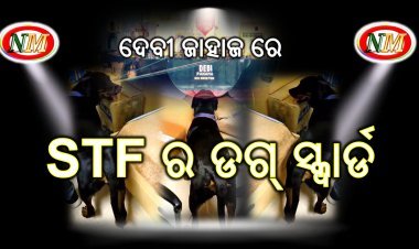 କୁକୁର ଖୋଜୁଛି କୋକେନ୍