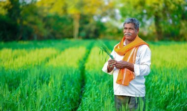 ପ୍ରାକୃତିକ ବିପର୍ଯ୍ୟୟରେ କୃଷକଙ୍କୁ ମିଳିବ ଫସଲ ବୀମା ଯୋଜନାର ଫାଇଦା