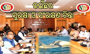 ଅଲିଭ୍‌ ରିଡଲେ କଇଁଛ ଓ ଅଣ୍ଡାକୁ ସୁରକ୍ଷା ଦିଅ