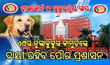 ବୁଲାକୁକୁର କାମୁଡ଼ିଲେ ଦାୟୀ ରହିବ ପୌର ପ୍ରଶାସନ