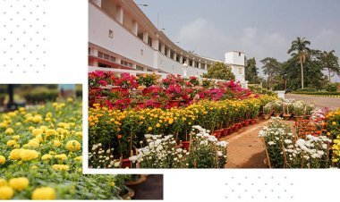 ରାଜଭବନ ଉଦ୍ୟାନ ବୁଲିବା ପାଇଁ ଆପ୍‌ରେ କରିବାକୁ ପଡିବ ପଞ୍ଜୀକରଣ