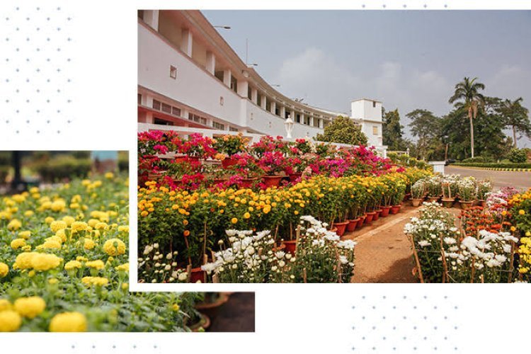 ରାଜଭବନ ଉଦ୍ୟାନ ବୁଲିବା ପାଇଁ ଆପ୍‌ରେ କରିବାକୁ ପଡିବ ପଞ୍ଜୀକରଣ