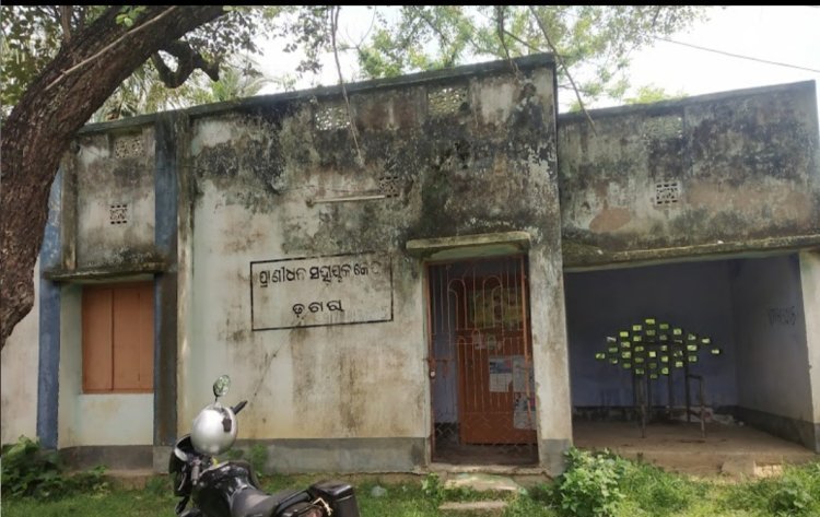 ରାଜ୍ୟରେ ପ୍ରାଣୀଧନ ଚିକିତ୍ସା ଠପ୍